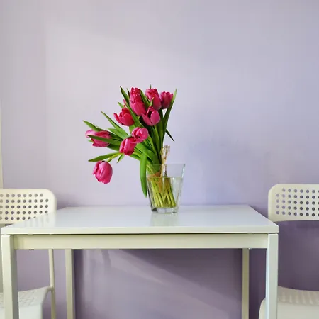 旅馆 Puffa Lux 华沙